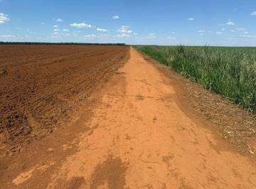 Rural de 3 quartos, Acreúna · Oportunidade em fazenda em Acreuna