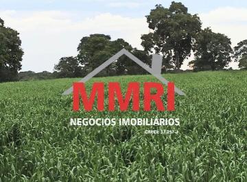 Foto 01 · Fazenda, Área Rural, Campo Erê, SC