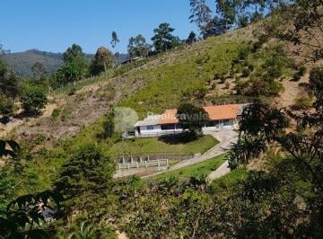 Rural · 145m² · 3 Quartos · 12 Vagas · Chácara à venda em Natividade da Serra, Centro, com 3 quartos, com 3500 m²