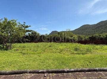 41226_i33WH912DKl1lBz72SDt_41226693960284b3d6.jpg · Terreno com 401m² no Bairro Pântano do sul