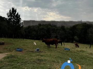 Foto 01 · Terreno à venda em Curitiba-PR, Alto Boqueirão, com 5.000 m² de área - Oportunidade única!
