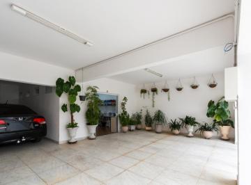 IMG_20260605_185804_000.jpeg · Deslumbrante casa para venda em Vila Ipojuca com 4 quartos, sendo 1 suíte, 317m² - theremaxcollectio