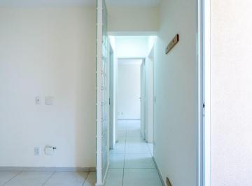 PIC_20260610_105805_000.jpeg · Espetacular apartamento para venda em Morumbi com 2 quartos, 50m² - theremaxcollection#X5JT1
