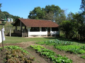 IMG_20260604_105712_000.jpeg · Sensacional terreno rural para venda em Rosa Mendes, 93,000m² - theremaxcollection#0GTGC
