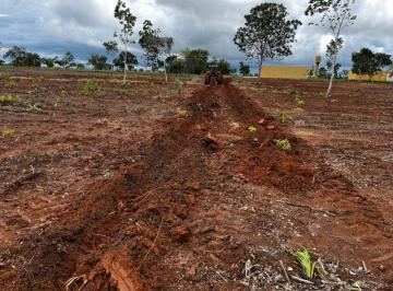 Rural · 24800000m² · FAZENDA A VENDA EM ALMAS-TO!