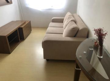 Apartamento · 50m² · 2 Quartos · Apartamento em Rio Pequeno, São Paulo/SP de 50m² 2 quartos à venda por R$ 320.000,00