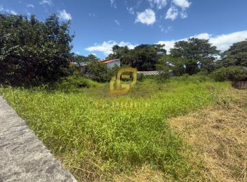 Terreno · 900m² · Oportunidade de Investimento 2 Terrenos Murados em Rua Pavimentada