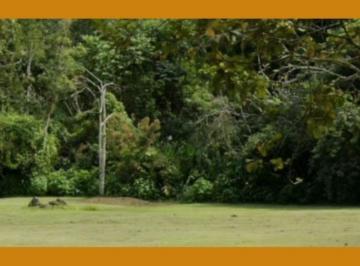 Terreno · ÁREA DE APROXIMADAMENTE 1.873.135,59M² DESMEMBRADA DA FAZENDA SANTA RITA DO BRACUI, 2º DISTRITO DE A