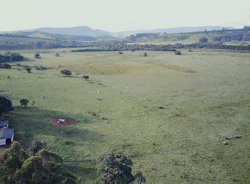 211be0fb26c4b568c5a4c5786eea7b36.jpeg · Fazenda / Sítios / Chácaras à venda em São Gonçalo Do Sapucaí, no bairro Zona Rural 2