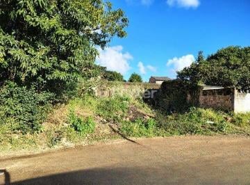 17ea09d0b9997691204048dc599f486b.jpg · Terreno, 229 m², em São Lucas