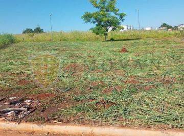 Terreno · 499m² · Terreno Padrão em Ribeirão Preto