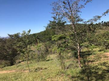 Terreno em Bonfim com área de 12 hectares
pés de mexerica
2 km do asfalto que li · Terreno em Bonfim de 12 hectares 650.000