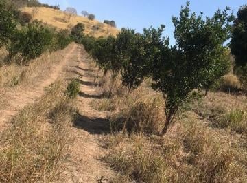 Fazendinha 120 mil m2 (12 HEC)
Terreno tratorado, com vista maravilhosa
Situado  · FAZENDINHA BONFIM FBF11 SEM CASA 120MIL M2