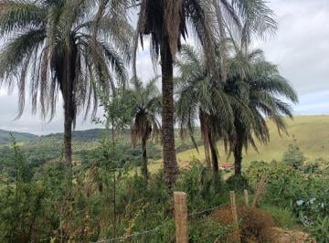Rural · 10000m² · TERRENO DE 10 MIL M2 COM VISTA EM MOEDA