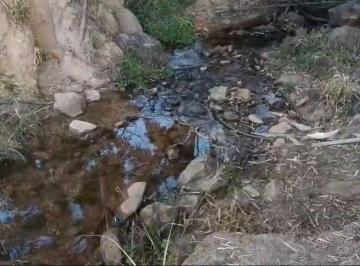 Terreno · 20000m² · Terreno com cachoeira ao fundo em Moeda