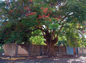 Terreno , Birigui · Terreno à Venda no Jardim Popi, Birigui