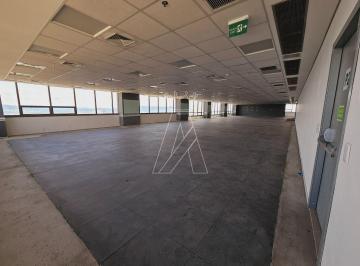 Apartamento · 1145m² · 40 Vagas · Laje Corporativa para Locação