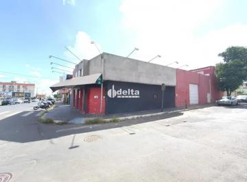 Comercial · 300m² · 1 Vaga · Comodo Comercial com 2 quartos disponível para locação no bairro Umuarama em Uberlândia-MG