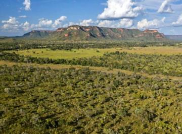 Rural · 7300ha · Área NATIVA ALTO PARNAIBA