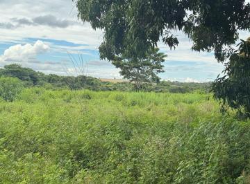 Rural · 5000ha · Fazenda em Porto Gauchos