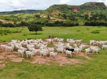 Rural · 1612m² · Fazenda em Guiratinga