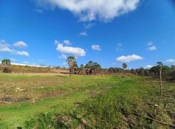 6d97a936cc080400fea5758ecfeb6383013f474d · Terreno à venda, 21.036 m² em Itaitinga-CE (Ancuri)