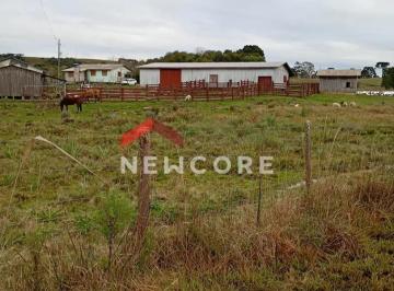 Rural · 2400000m² · 2 Quartos · 2 Vagas · Fazenda em  Estrada Municipal - Cazuza Ferreira - São Francisco de Paula/RS