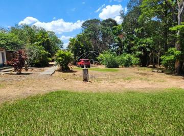 Área externa da chácara · Para investir: Chácara à venda no bairro Matão, em Sumaré/SP