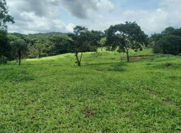 Rural , Fortuna de Minas · OtimaFazenda