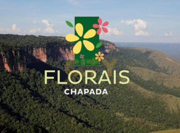 Terreno · Vende-se Lote/Terreno Florais Chapada