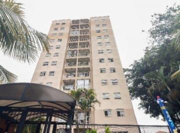IMG_20260620_181541_000.jpeg · Excelente apartamento para venda em Chácara Califórnia com 3 quartos, sendo 1 suíte, 74m² - remaxfro