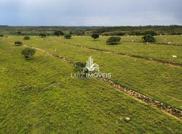 i1.jpg · VENDO FAZENDA PECUÁRIA 391HECTARES JOÃO PINHEIRO MG