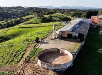 Rural · 1000m² · 52ha Haras de Luxo PR | 29 Cocheiras | Tijucas do Sul