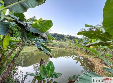 Rural · 3000m² · 3 Quartos · 2 Vagas · Chácara à venda em Antonina/PR