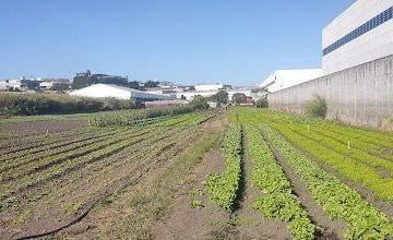 20250502121019181.jpg · Área Industrial para Venda em Arujá, Portão