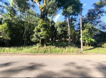 565512.jpg · Terreno - Bairro Carniel