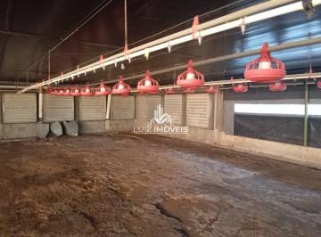 i1.jpg · Vendo Granja Climatizada em São Sebastião do Oeste MG