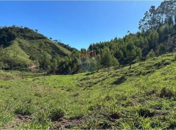 Rural · 60m² · Fazenda em Braçanã para quem procura um excelente investimento ou tranquilidade.
