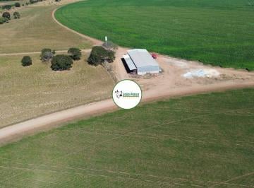 Rural , João Pinheiro · Fazenda a venda em João Pinheiro - 400 HA - Possui 3 pivôs com total de 160 HA