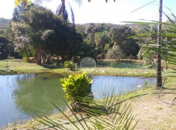 Rural de 3 quartos, Luziânia · Fazendinha á venda em Luziânia 10 alqueires (48 hectares) Tanque de peixe GO 010