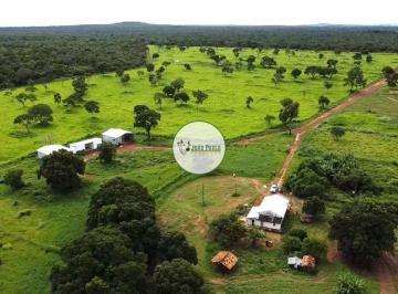 Rural , Arinos · Fazenda a venda em ARINOS-MG - 247 hectares - Relevo plano - DUPLA APTIDÃO