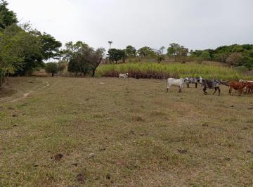 Foto 01 · TERRENO DE 21 HECTARES C/ TOPOGRAFIA MISTA E ÁGUA CORRENTE À VENDA EM ITAGUARA/MG