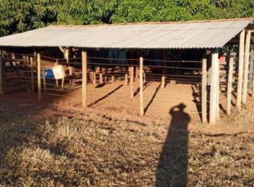 Rural de 3 quartos, Brasília · Chácara para plantação no PADEF. 8 ha. Plano, casa 2 qts. Escritura, represa, ótimo investimento!
