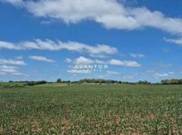 Rural · 23168ha · Área rural à venda de 23 hectares em Santa Maria RS.