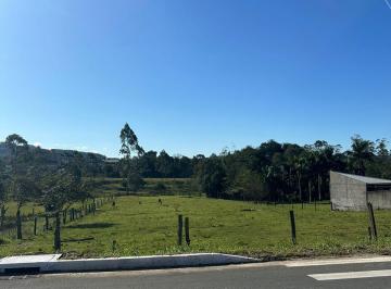 Terreno · 4447m² · Área de terra no laranjinha