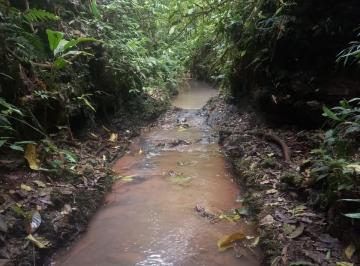 Rural · 50000m² · Sítio à venda no bairro Morro Grande - Meleiro/SC