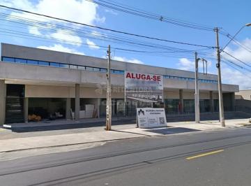 Comercial · 33m² · Sala Comercial Locação Galeria Vista Bela