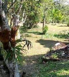519531748392fb5dca4e74824e7c631bb340511d · Chácara com 2 dormitórios à venda, 1000 m² por R$ 185.000,00 - Vale Das Pedrinhas - Guapimirim/RJ