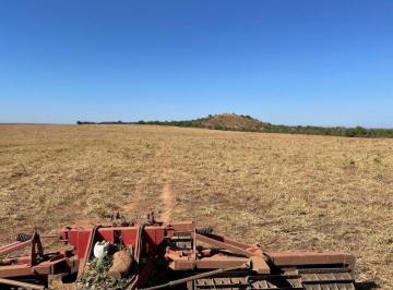 Fazenda a venda, Tupiratins, Tocantins. · FAZENDA - VENDA - TOCANTINS - TUPIRATINS - 1.123,5 HECTARES - 232,13 ALQUEIRÃO - DUPLA APTIDÃO - BOA