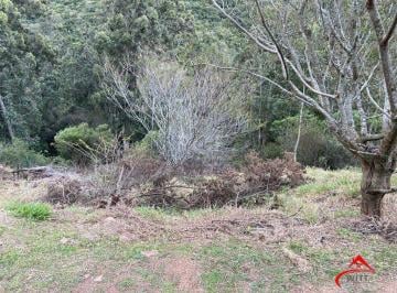Terreno · 2313m² · Terreno para Venda - 0m², 0 dormitórios, Santa Isabel